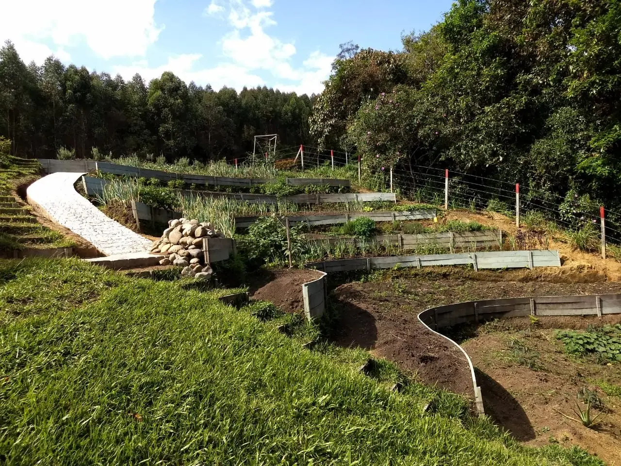 Huerta en terrazas con sendero de piedra